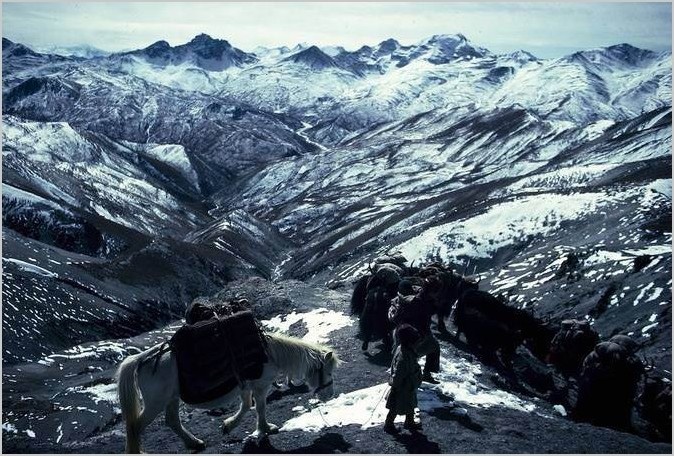 Eric Valli — Караваны в Гималаях