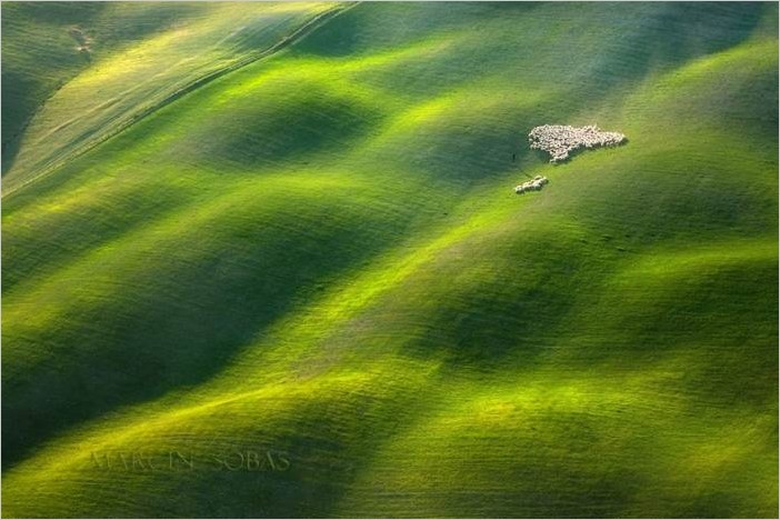 Овечьи стада в Тоскане, фотограф Мартин Собас