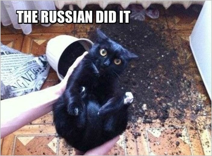 Это сделали русские #Russiandidit 15 фото