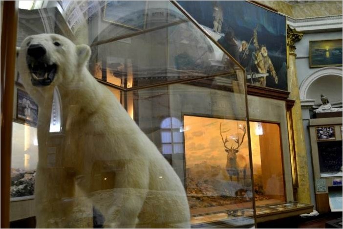 Музей Арктики и Антарктики СПб (16 фото)