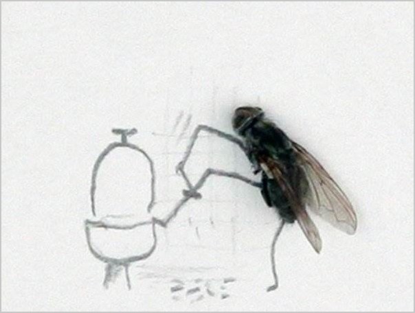 Fly Art мухи от Magnus Muhr