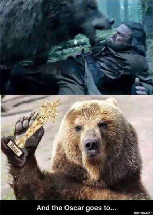 Мемы про Ди Каприо и Оскар