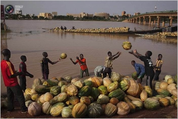 Фотограф Джо Пенни (Joe Penney) — страна Нигер