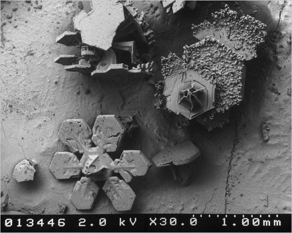 Снег под микроскопом (23 фото)