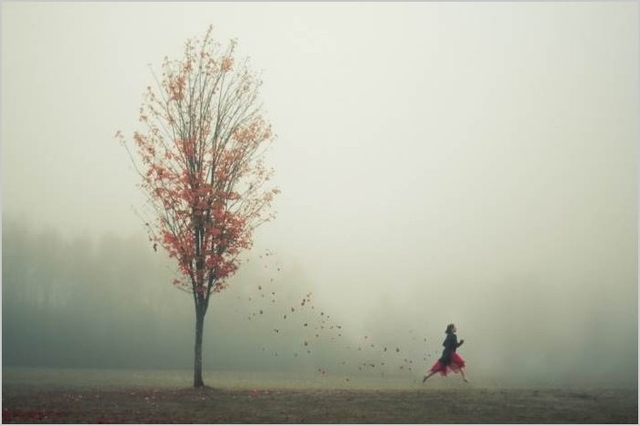 Фотограф Элизабет Гэдд — волшебное одиночество