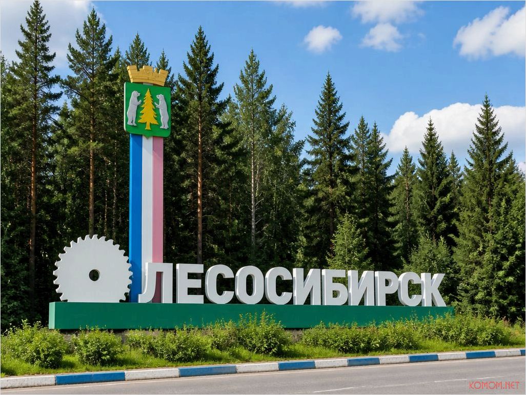 (погодные, условия, лесосибирске, советы, прогноз) Погодные условия в Лесосибирске — советы и прогноз на неделю